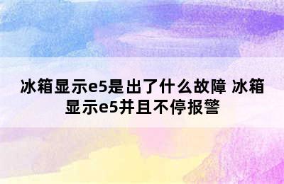 冰箱显示e5是出了什么故障 冰箱显示e5并且不停报警